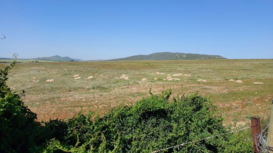 0 Bedroom Property for Sale in Darling Western Cape
